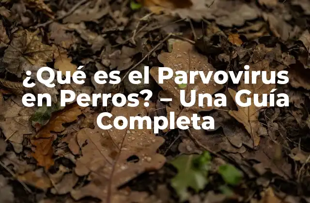 ¿qué es el Parvovirus en Perros? – una Guía Completa