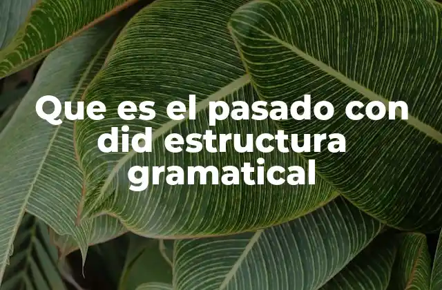 Que es el Pasado con Did Estructura Gramatical