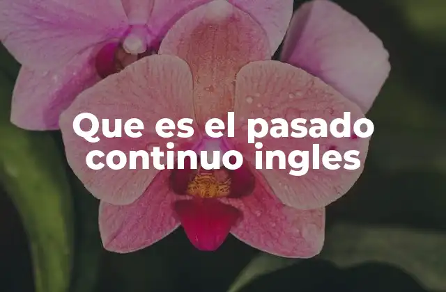 Que es el Pasado Continuo Ingles