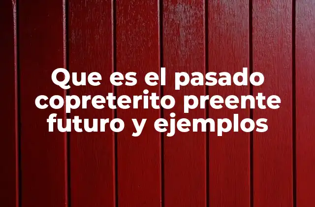 Que es el Pasado Copreterito Preente Futuro y Ejemplos