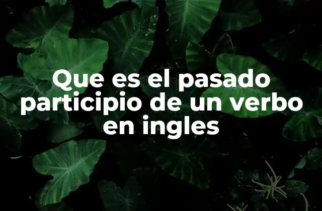 Que es el Pasado Participio de un Verbo en Ingles