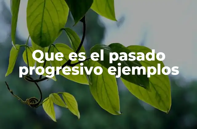 Que es el Pasado Progresivo Ejemplos