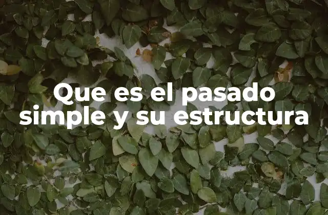 Que es el Pasado Simple y Su Estructura