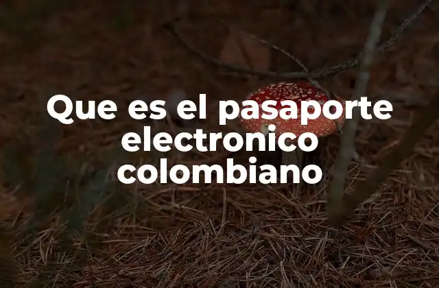 Que es el Pasaporte Electronico Colombiano 2 ¿Cómo se diferencia del pasaporte tradicional?