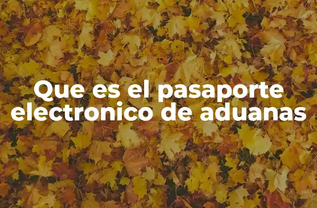 Que es el Pasaporte Electronico de Aduanas