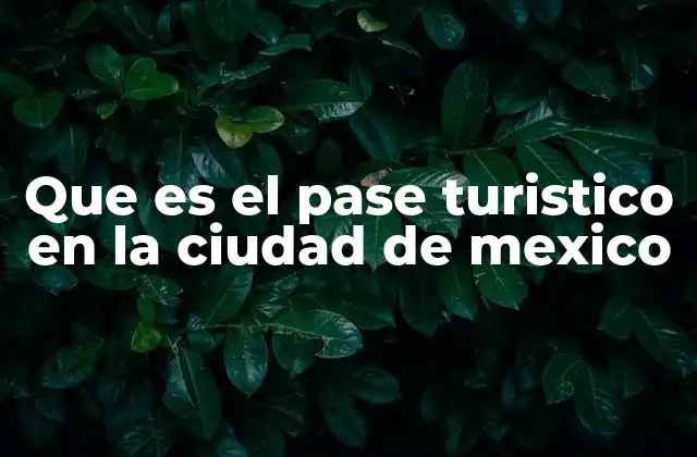 Que es el Pase Turistico en la Ciudad de Mexico 2 Cómo funciona el Pase Turístico en el corazón de la capital