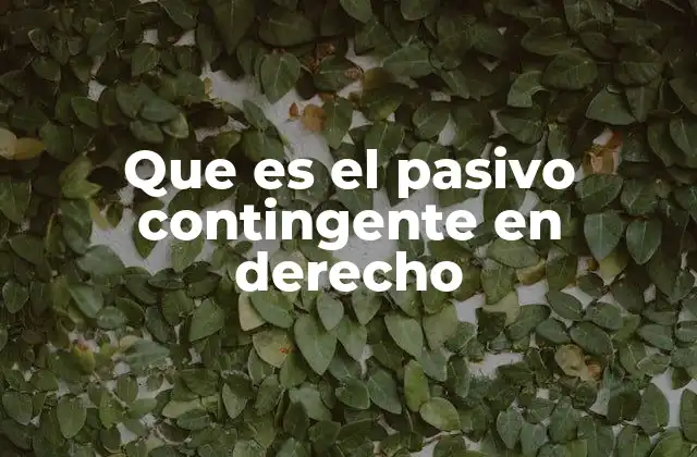 Que es el Pasivo Contingente en Derecho