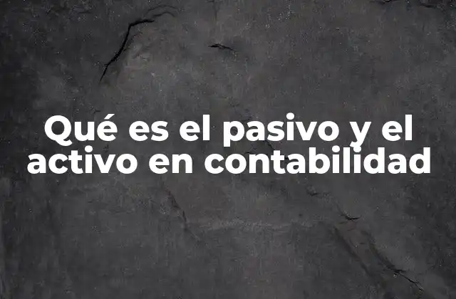 Qué es el Pasivo y el Activo en Contabilidad
