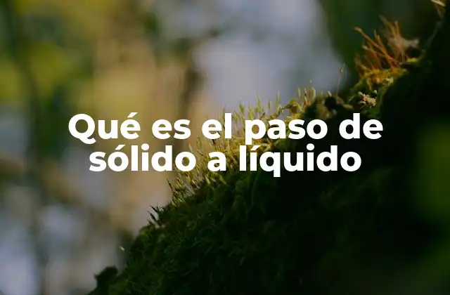 Qué es el Paso de Sólido a Líquido