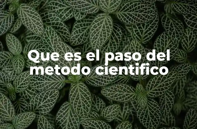 Que es el Paso Del Metodo Cientifico 2 Cómo se aplica el método científico en la vida cotidiana