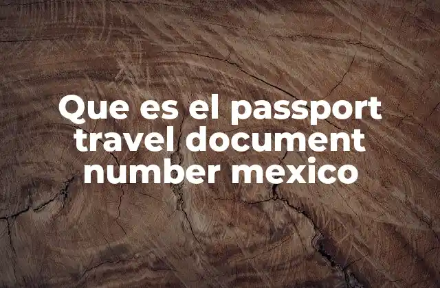 Que es el Passport Travel Document Number Mexico