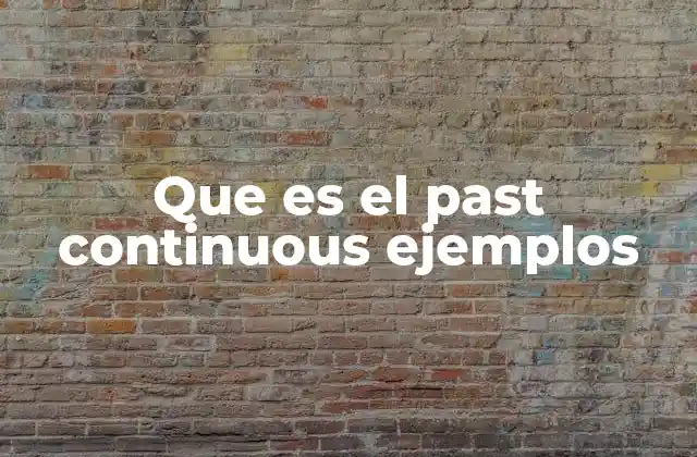 Que es el Past Continuous Ejemplos