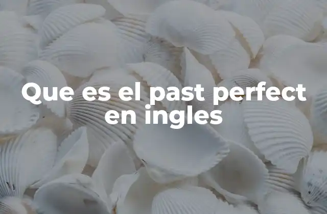 Que es el Past Perfect en Ingles