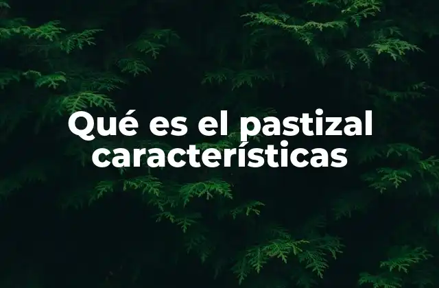 Qué es el Pastizal Características