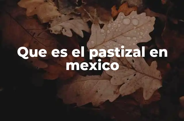 Que es el Pastizal en Mexico 2 La importancia de los pastizales en la ecología de México