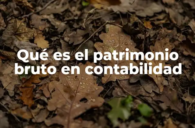 Qué es el Patrimonio Bruto en Contabilidad