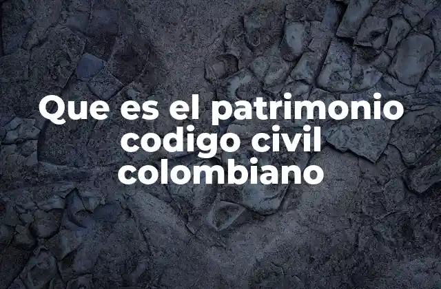 Que es el Patrimonio Codigo Civil Colombiano 2 El patrimonio como fundamento del derecho de obligaciones