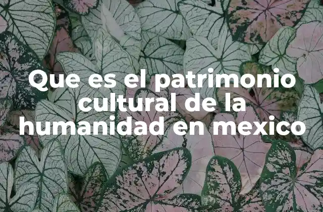 Que es el Patrimonio Cultural de la Humanidad en Mexico