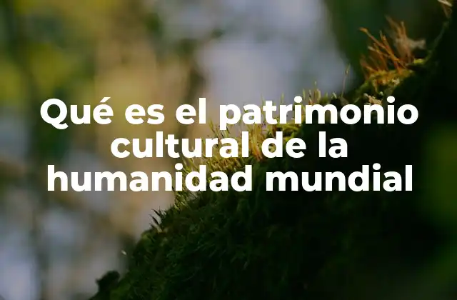 Qué es el Patrimonio Cultural de la Humanidad Mundial