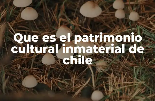 Que es el Patrimonio Cultural Inmaterial de Chile