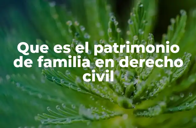 Que es el Patrimonio de Familia en Derecho Civil