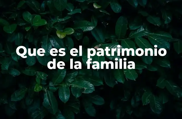 Que es el Patrimonio de la Familia