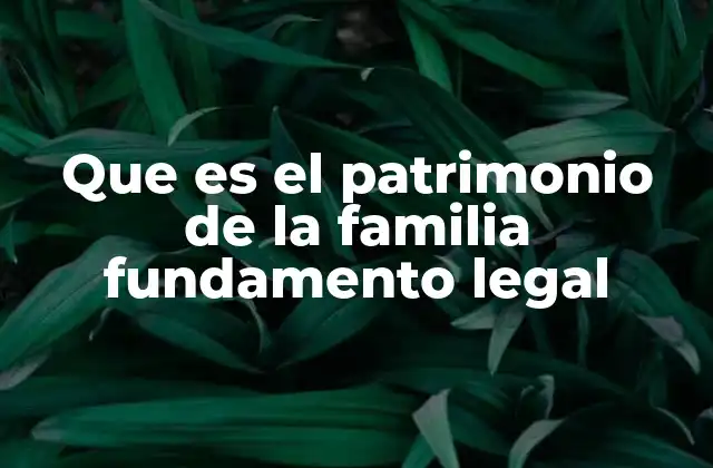 Que es el Patrimonio de la Familia Fundamento Legal