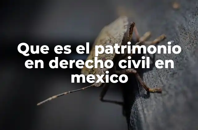 Que es el Patrimonio en Derecho Civil en Mexico