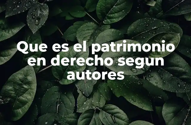 Que es el Patrimonio en Derecho Segun Autores