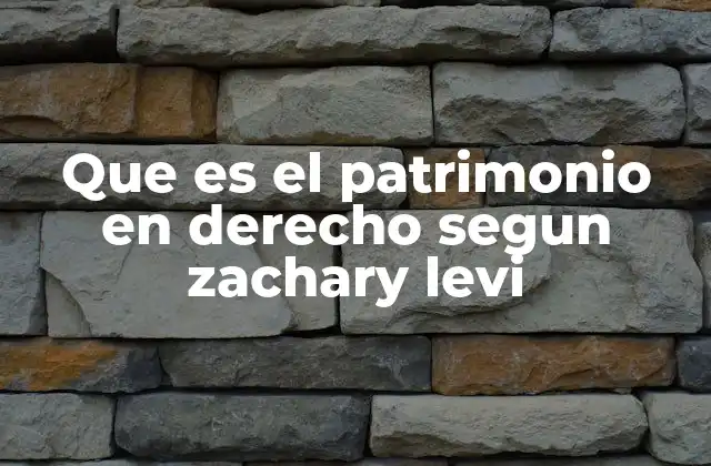 Que es el Patrimonio en Derecho Segun Zachary Levi