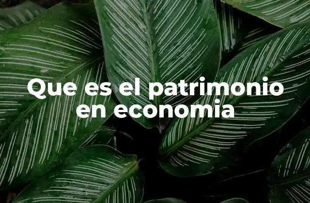 Que es el Patrimonio en Economia