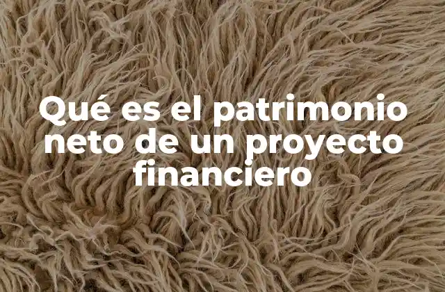 Qué es el Patrimonio Neto de un Proyecto Financiero