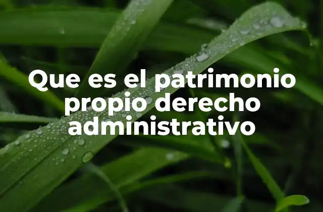 Que es el Patrimonio Propio Derecho Administrativo