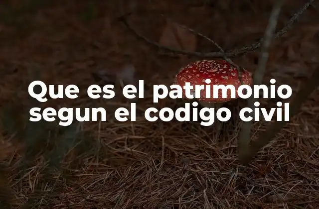 Que es el Patrimonio Segun el Codigo Civil