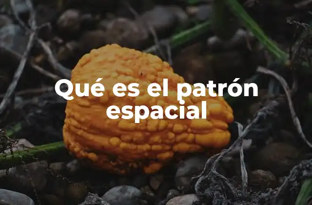 Qué es el Patrón Espacial