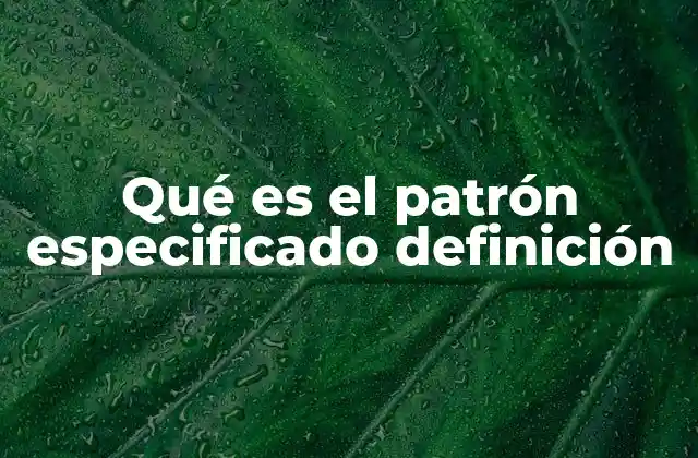 Qué es el Patrón Especificado Definición