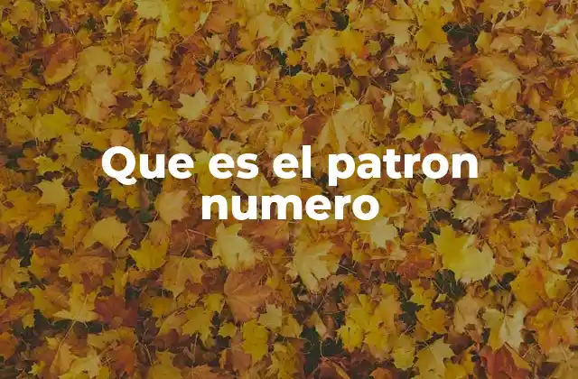 Que es el Patron Numero