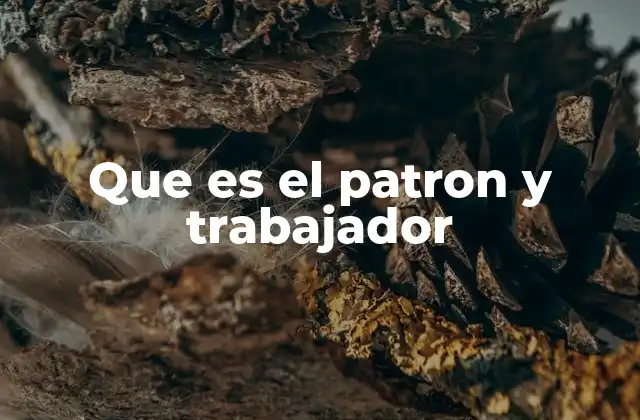 Que es el Patron y Trabajador