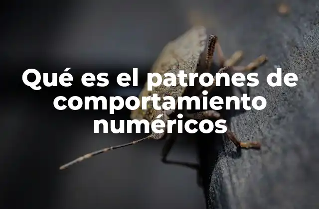 Qué es el Patrones de Comportamiento Numéricos