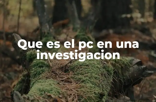 Que es el Pc en una Investigacion