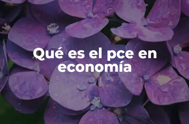 Qué es el Pce en Economía