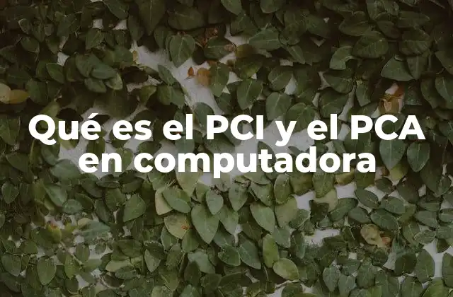 Qué es el Pci y el Pca en Computadora
