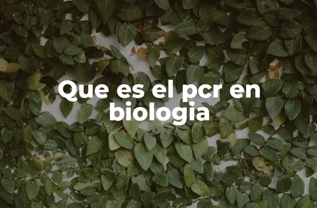 Que es el Pcr en Biologia