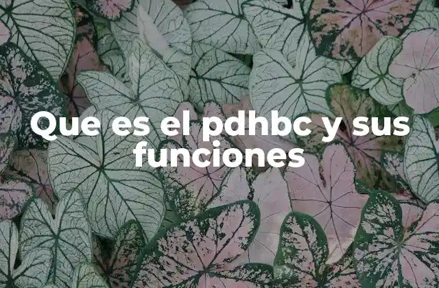Que es el Pdhbc y Sus Funciones