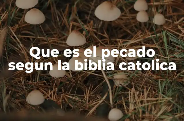 Que es el Pecado Segun la Biblia Catolica