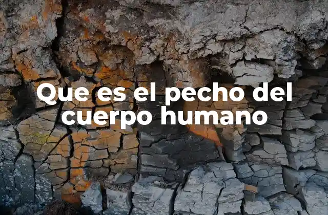 Que es el Pecho Del Cuerpo Humano
