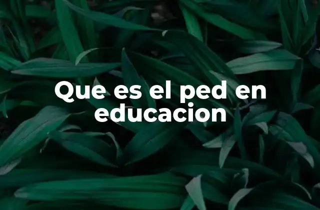 Que es el Ped en Educacion