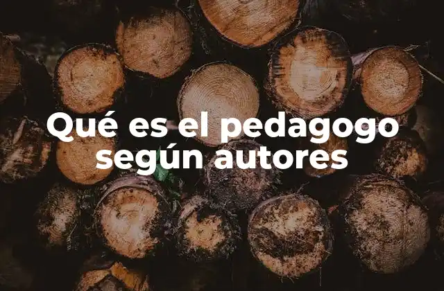 Qué es el Pedagogo según Autores
