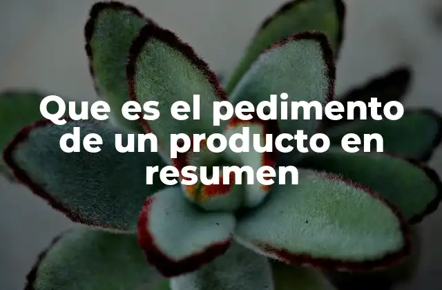 Que es el Pedimento de un Producto en Resumen