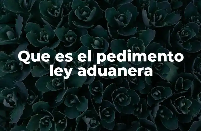 Que es el Pedimento Ley Aduanera